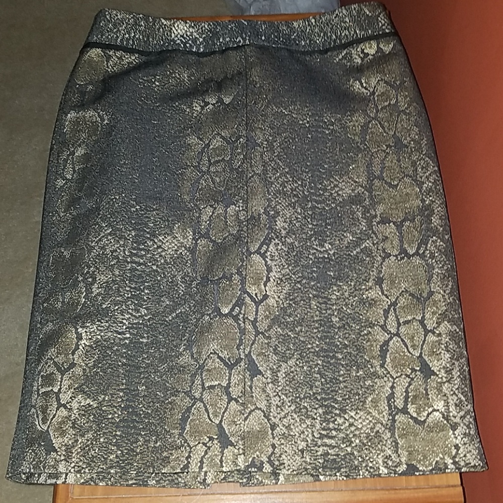 NWT Ann Taylor Skirt